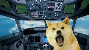 Doge Flys A Plane R Dogelore Ironic Doge Memes Know Your Meme