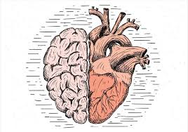 Free Hand Drawn Vector Brain And Heart Illustration Ai Svg File Free Graphics Uihere