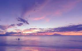 Fuchsia silk draped fabric background. Wallpaper 1920x1200 Px Beach Clouds Ocean Purple Sunset 1920x1200 Wallup 1718789 Hd Wallpapers Wallhere
