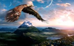 Check spelling or type a new query. 280 Eagle Hd Wallpapers Background Images