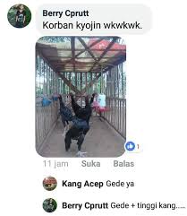 Proses pembuatan pakan ternak berupa silase keong ini, agar fermentasi daging keong berlangsung sempurna maka dibutuhkan waktu 12 hari. Ready Kyojin Pati Rembang Blora Pakan Ayam Raksasa Facebook