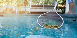 Sie brauchen im haushalt viel zeit, besonders für putzen, waschen, kochen und kindererziehung. Pool Reinigen Nach Dem Winter In 10 Schritten Herold At