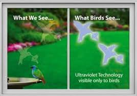 Bird Hitting Window Meaning Bird Strike Window Decals Windowalert Review On Cool Tools Stop Birds From Hitting Your Windows Window Decals Reflective Decals What Is A Bird