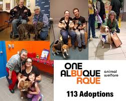 Every dog in the adoption center can provide you with boundless love and companionship, and every dog certainly deserves a lifelong home. Awd Was Able To Adopt Out 113 Pets This Albuquerque Animal Welfare Facebook