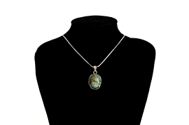 Image result for Chrysochloa