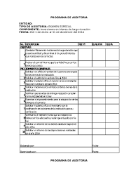doc programa de auditoria daniela botina academia edu academia edu