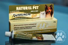 We did not find results for: Merawat Jangkitan Fungus Pada Kucing Jarey Cat Lovers