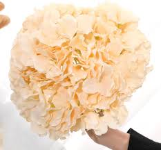 Check spelling or type a new query. Buy Lackingone 12pcs Silk Hydrangea Flowers Artificial Flowers Heads With Stems Beige Artificial Hydrangea Flowers For Home Wedding Party Indoor Outdoor Decorations Fake Flower For Grass Wall Decor Online In Poland B08pp9hry6