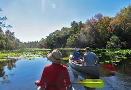 Juniper springs, alexander springs, silver glen springs, clearwater lake and wildcat lake. Alexander Springs Top Paddling Camping In Ocala National Forest