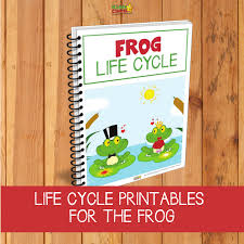 Start by scrolling to the bottom of the post, under the terms of use, and click on the text link that says >> download <<. Frog Life Cycle Printabes Get To Know Your Tadpoles