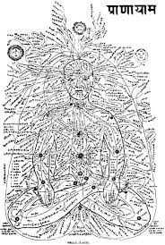 Illustration Showing The Nadis And Major And Minor Chakras