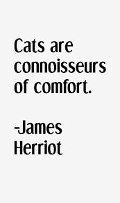 james-herriot-quotes-23843.png via Relatably.com