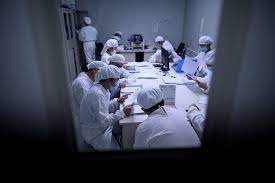 How The World Made So Much Progress On A Covid 19 Vaccine So Fast