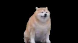 Listen to fat doggo | soundcloud is an audio platform that lets you listen to what you love and share the sounds you create. Fat Doggo Gif Fat Doggo Dog Discover Share Gifs
