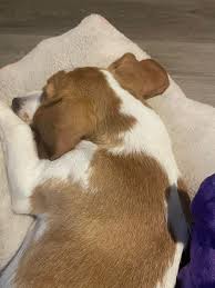 Hi all! I just wanted to introduce myself and share a photo that I took