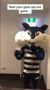 See more ideas about geelong cats, geelong, cats. Geelongcats Hashtag Videos On Tiktok