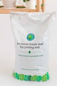 That is why its important to have epsoma organic cactus mix is a potting medium that is designed to help plants retain moisture repotting fiddle leaf fig trees does not have to be hard. How To Repot A Fiddle Leaf Fig Tree And Add A Decorative Container