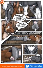 Read [TailsHigh] Feral Couples - Stallion Delights Hentai Porns - Manga And  Porncomics Xxx