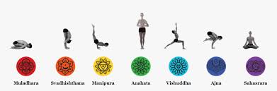 Your manipura practice will focus on core, twists, and diaphramatic breathing—all of which stoke internal heat. Transparent Poses Png Chakra Yoga Poses Pdf Png Download Transparent Png Image Pngitem
