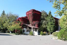 Vara, între sarata monteoru și buzău funcționează o line specială de autobuze. 5 Zile De Tratament Si Relaxare La Sarata Monteoru De 1 Decembrie