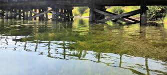 Maybe you would like to learn more about one of these? Monte Lake Kamloops Trails