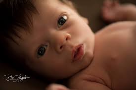 DeAngelo Photography