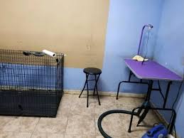 Based in hopwood, happy tails is small individually run grooming salon that offers a friendly and high quality grooming service for you and your dog. Happy Tails Pet Spa 146 Photos 83 Reviews Pet Groomers 9131 Citrus Ave Fontana Ca Phone Number Yelp