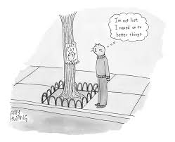 A Cat Walking Upright And Wearing Clothes Looks Drawing By Amy Hwang Download files and build them with your 3d printer, laser cutter, or cnc. a cat walking upright and wearing clothes looks by amy hwang