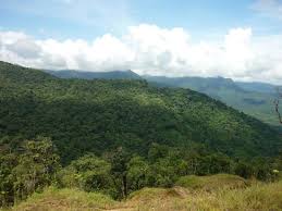 También, el precio promedio de alquiler por ambiente es de: Parque Nacional Fotografia De Coffee Mountain Inn Santa Fe Tripadvisor