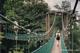 The kl forest eco park (formerly know as the bukit nanas forest reserve) was gazetted as a forest reserve in 1906 and is one of the oldest in malaysia. Get A Bird S Eye View Of Kuala Lumpur City Kl Tower Nerd Nomads