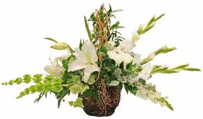 We did not find results for: Serenity Basket Cut In Oasis In Palm Beach Fl Flowers Of Worth Avenue