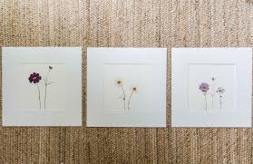 The road goes ever on, how to press flowers with wax paper. Pressed Flowers How To Make A Flower Press And Display Pressed Flowers