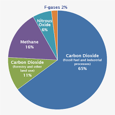 Pie Chart That Shows Different Types Of Gases 65 Percent Is