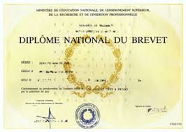 We did not find results for: Diplome National Du Brevet Lycee Stendhal