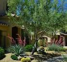 Phoenix Landscaping and Landscape Architect Company In Phoenix, AZ