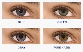 Freshlook One Day