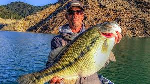 In it you will learn advanced techniques to fish for bass with soft plastic curly tail grubs, spider jigs and hula grubs. The 6 Best Lakes In California For Trophy Bass