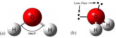 Water Molecules Are Polar In Nature Water Molecules Are Basically H 2o Molecules Which Have Bent Shapes Also O Atom Is Ele Water Molecule Molecules Acting