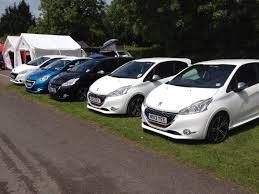 Image result for Framboise 2014 Peugeot