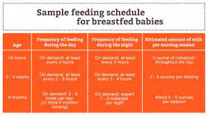 How Often Should A Newborn Eat Including Printable Schedules