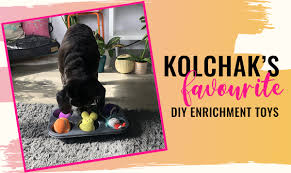 Heavy duty material will ensure that your. Kol S Favourite Diy Enrichment Games For Dogs Kol S Notes