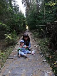 501 likes · 1 talking about this. RezervaÈ›ia NaturalÄƒ Tinovul Mare Poiana Stampei Adriana Ivan