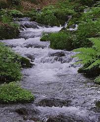 The best gifs for river. Gif River Stream Nature Inspirational Beautiful Nature Beautiful Nature Scenes Nature Photography