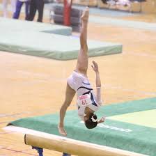 ボード women s gymnastics のピン