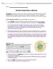 Each lesson includes a student exploration sheet, an exploration sheet page 2/5. Ac Lab10 Parttwo Meiosis Bkelso Pdf Name Student Exploration Meiosis Vocabulary Anaphase Chromosome Crossover Cytokinesis Diploid Dna Dominant Gamete Course Hero