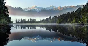 This quiz has a variety of questions related to my great country new zealand. New Zealand Trivia Fun Facts New Zealand Tours 2021 22 Goway