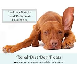 renal t dog treats ings