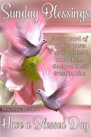 A sunday morning prayer to help focus your heart on god: 101 Inspirational Blessed Sunday Quotes Sayings And Images Blessed Sunday Quotes Sunday Greetings Blessed Sunday