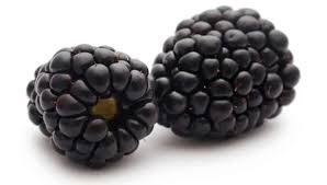 Refresh your browser to view updated quotes. Blackberry Is Not The Tech Stock You Are Looking For This Investor Says Cantech Letter