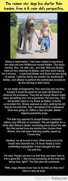 The Reason Why Dogs Live Shorter Than Humans Made Me Cry Faith In Humanity Faith In Humanity Restored Humanity Restored